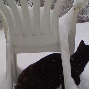 Meet your Posher, Carolee